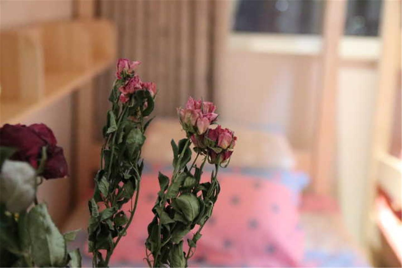 Yantai Music Theme Youth Hostel 외부 사진